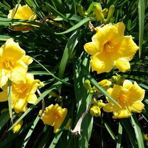 Meet your Posher, Tina